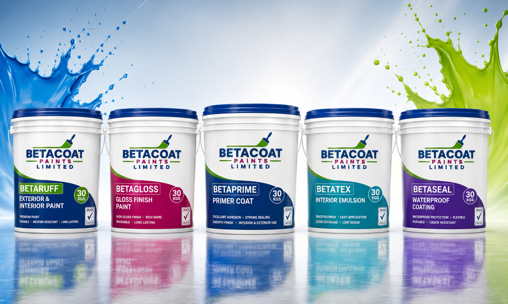 Premium Paints Built for Lasting Beauty